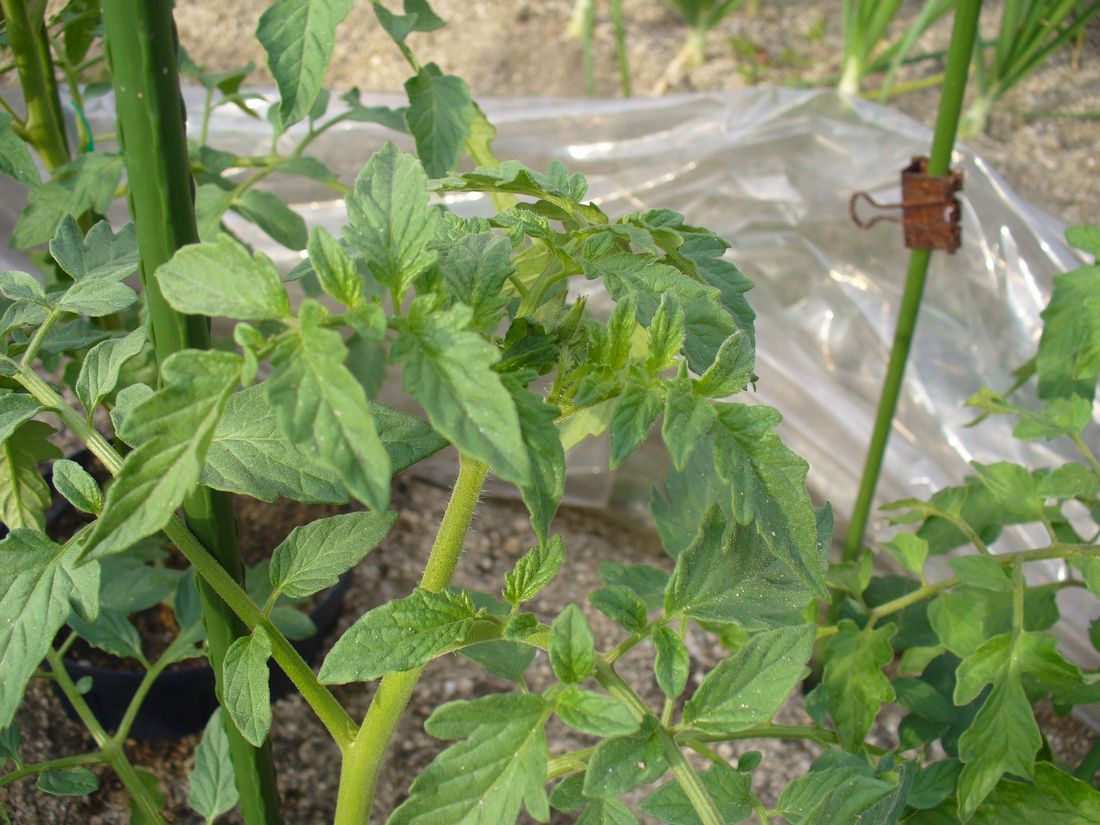 f0275632_2282240.jpg