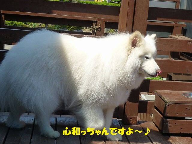 e0196135_22383955.jpg