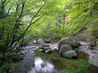 e0272335_12314355.jpg