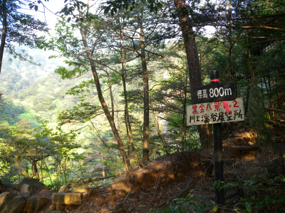 e0272335_12382932.jpg