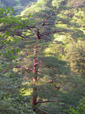 e0272335_12415950.jpg