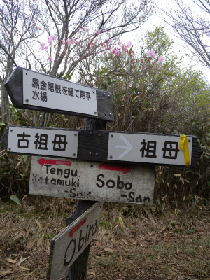 e0272335_144462.jpg