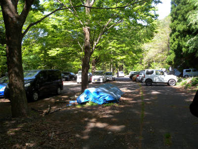 e0272335_1564860.jpg