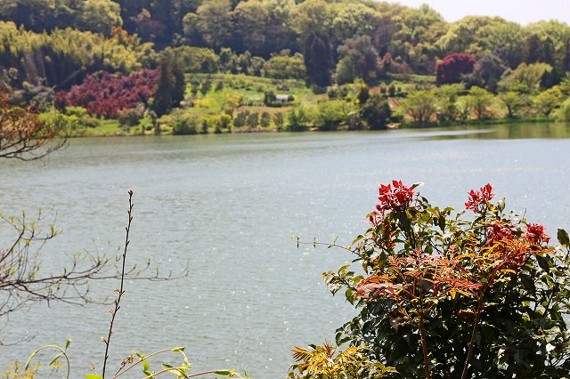 a0242438_18192187.jpg