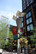 e0080345_15352933.jpg