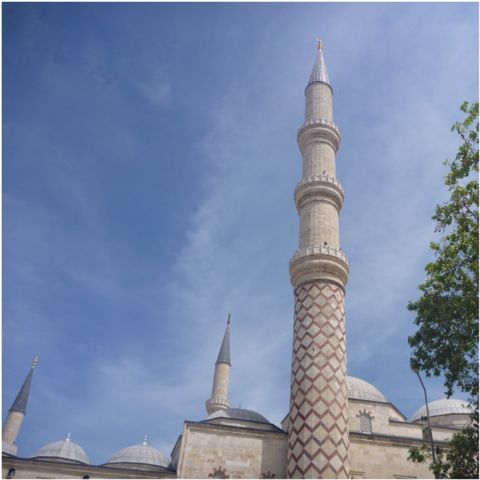 e0210347_3343952.jpg