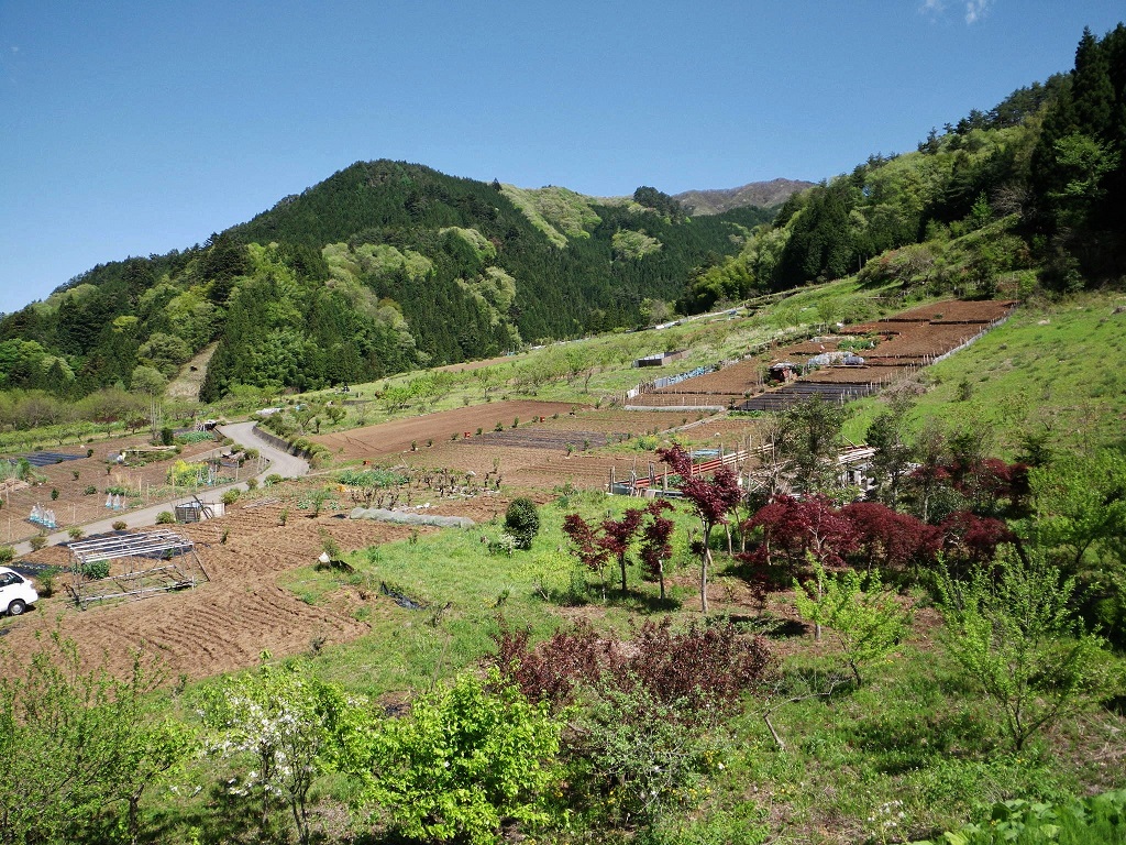 a0286351_222860.jpg