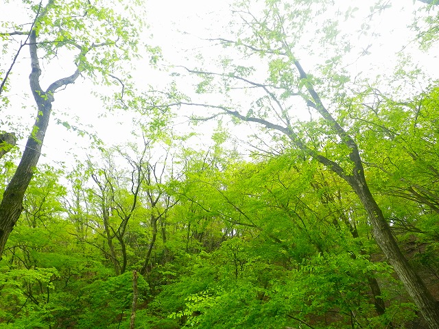b0175351_217153.jpg