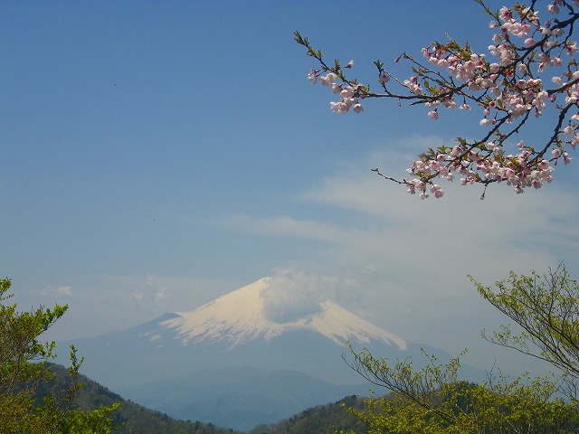b0175351_2183650.jpg