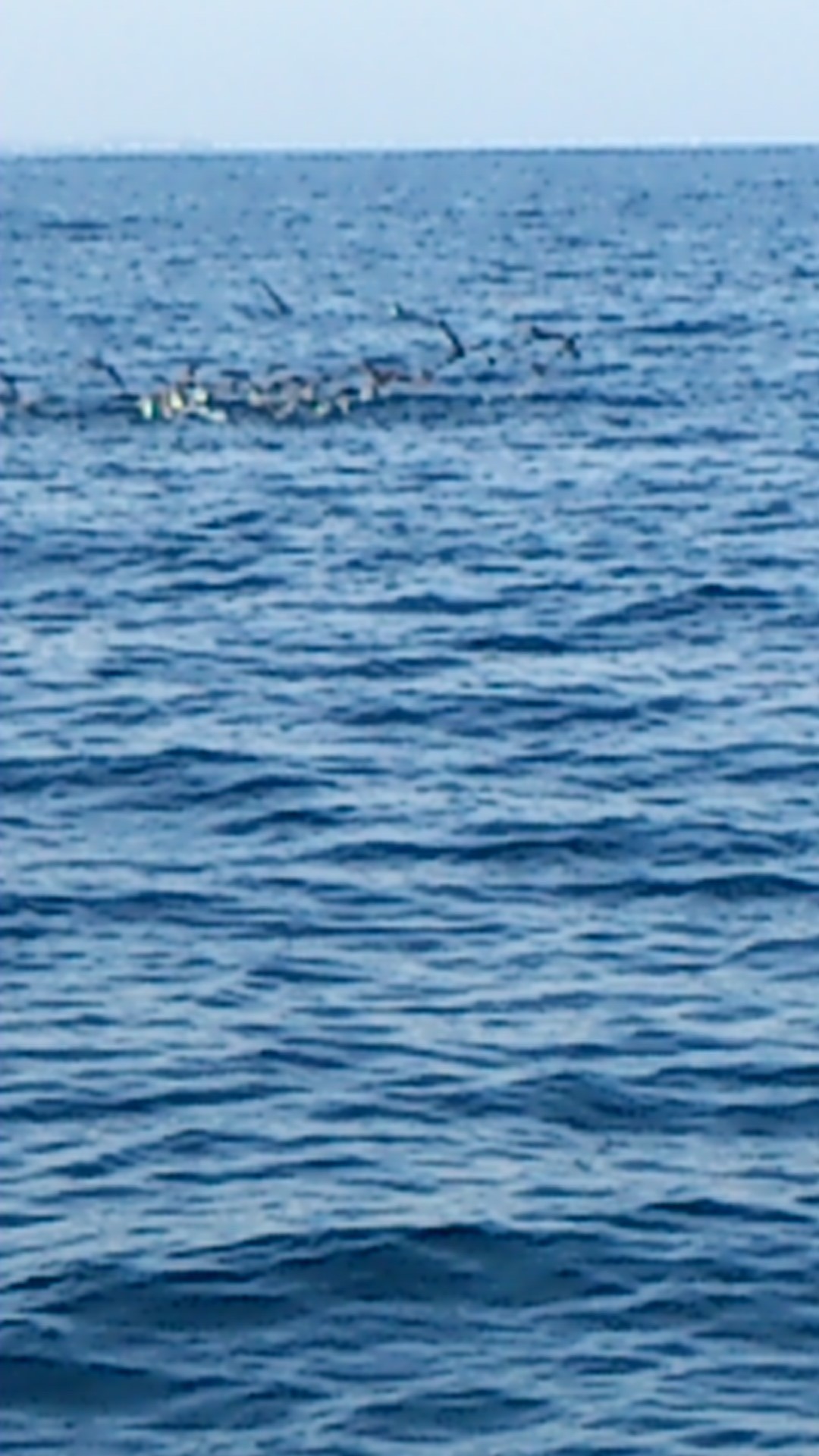 a0248152_19253493.jpg