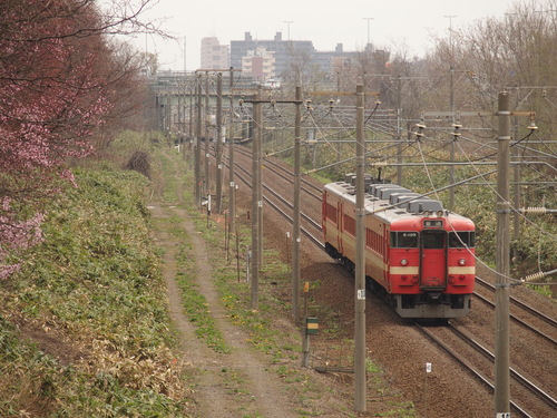 f0027355_031232.jpg