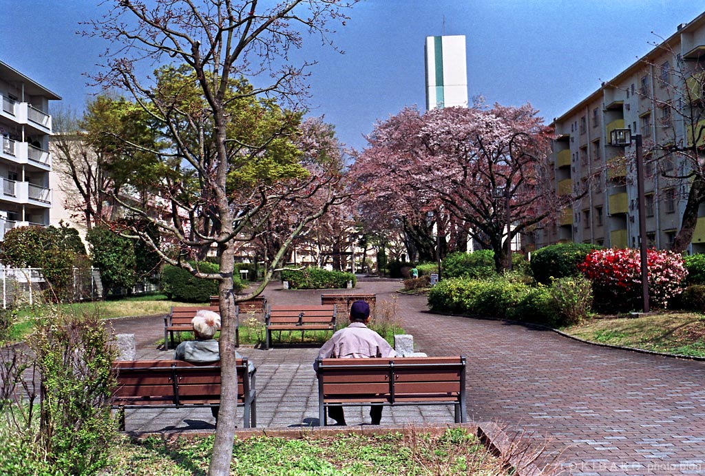 d0100156_15527.jpg
