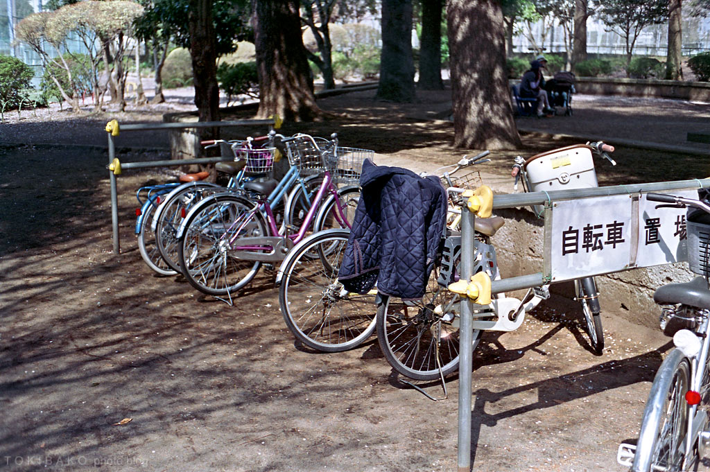 d0100156_156124.jpg