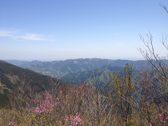 a0053558_1955469.jpg