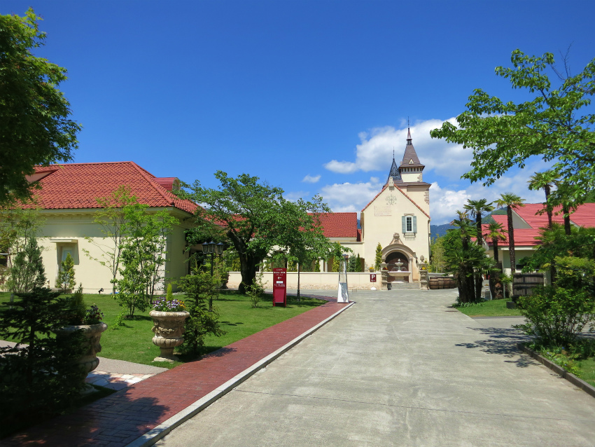 e0208058_821721.jpg
