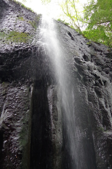 c0327061_23373805.jpg