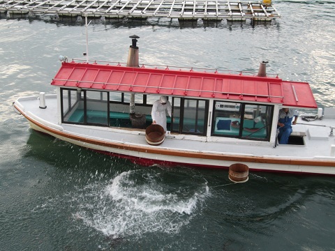 d0029363_10174023.jpg