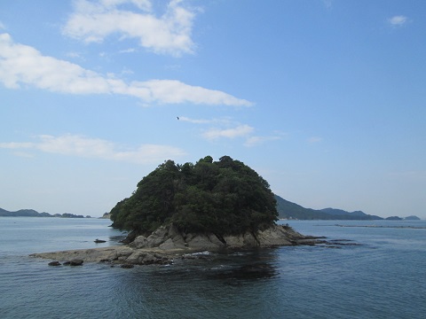 d0029363_8495325.jpg