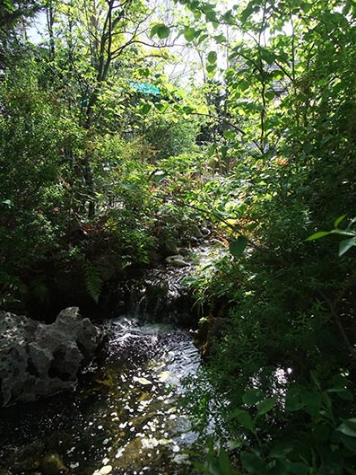 b0059664_1754946.jpg