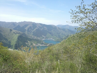 f0131165_2364450.jpg