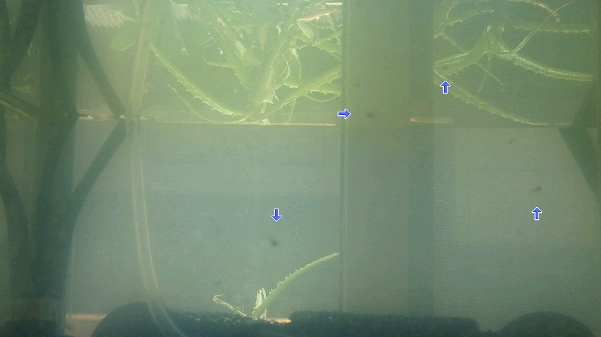 a0267766_11264183.jpg