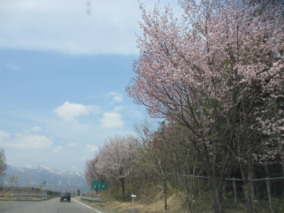 e0106372_14314153.jpg
