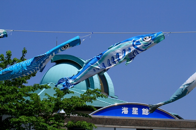 d0126577_17342995.jpg