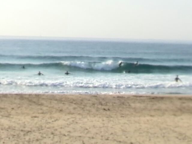 a0137279_16394975.jpg