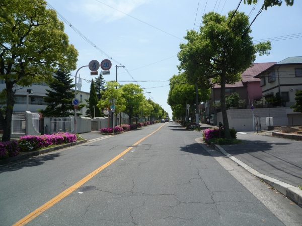 d0149379_15324166.jpg