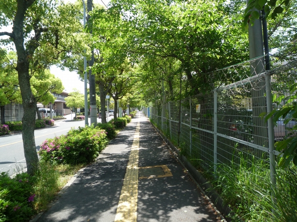 d0149379_15340577.jpg