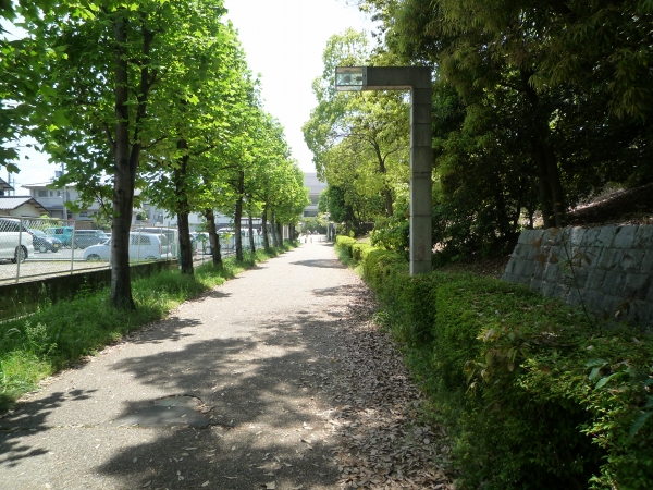 d0149379_15424786.jpg