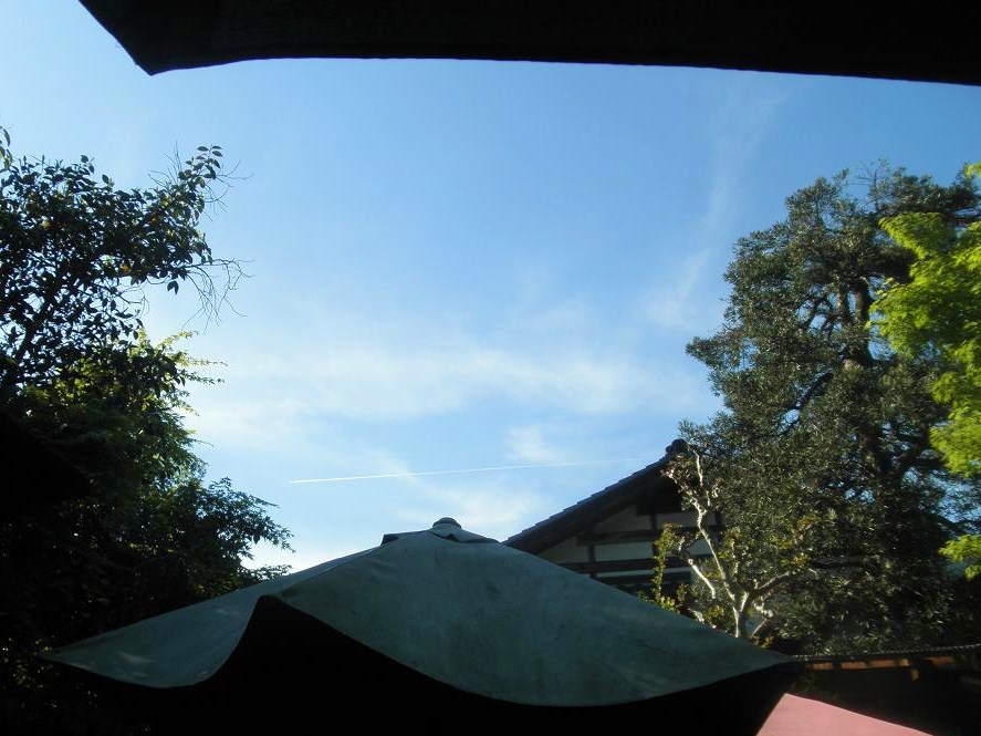 f0101679_017577.jpg