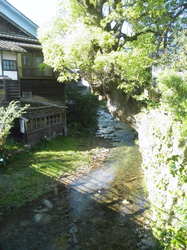 f0101679_03237.jpg