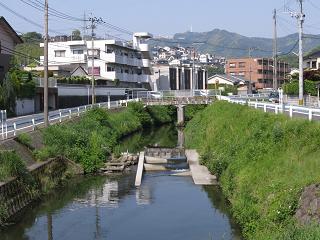 e0130185_11533839.jpg