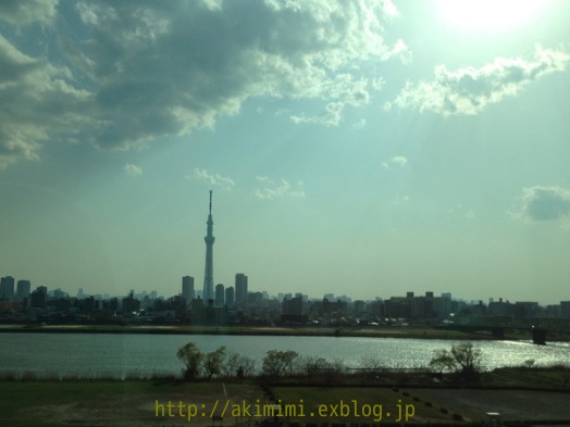 b0245488_4325845.jpg