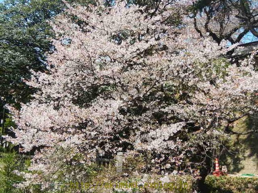 b0245488_4393626.jpg