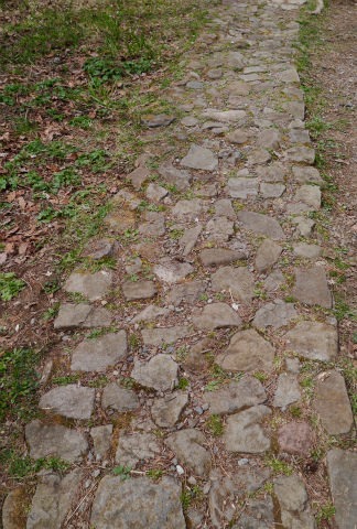 c0160488_2159553.jpg