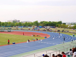 d0147488_22180957.jpg