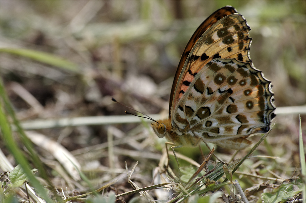 d0209988_205160.jpg