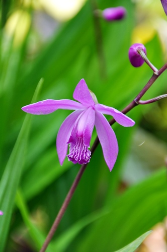 f0176499_01450761.jpg