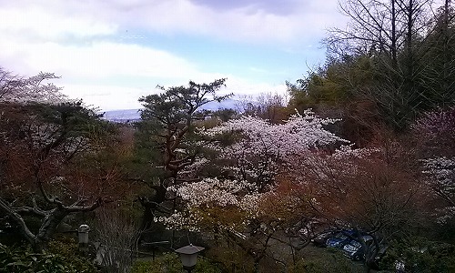 d0141800_2151059.jpg