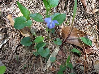 b0326303_19152979.jpg