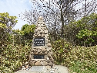 b0326303_21012612.jpg