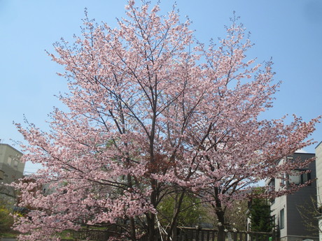 f0202703_0185852.jpg