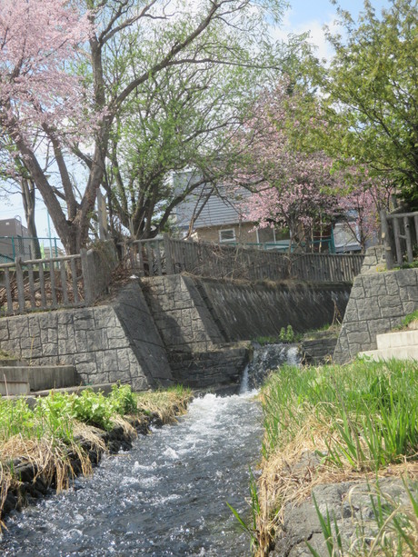 f0202703_0194881.jpg