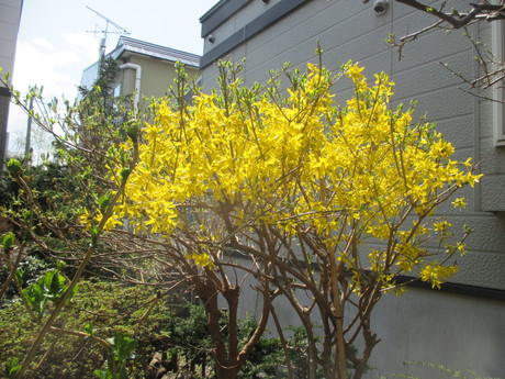 f0202703_02111100.jpg