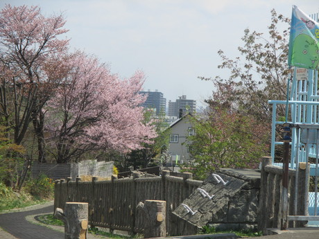 f0202703_0221243.jpg