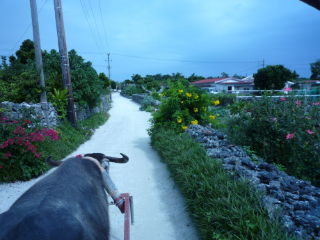 f0250403_14485550.jpg