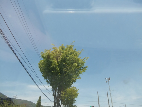 d0149306_19231761.jpg