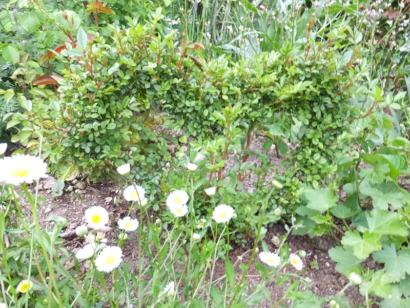 f0035506_1684384.jpg